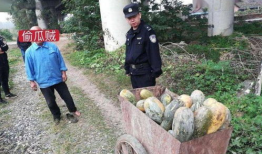 来凤吃瓜最新事件爆料,最新爆料揭露惊人内幕